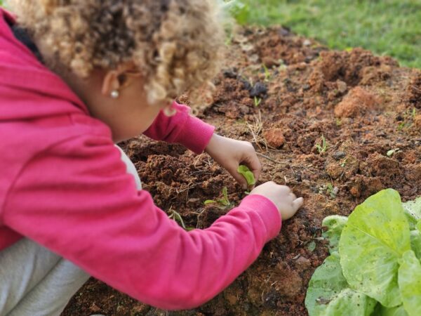 5 formas de trabalhar os ODS nas escolas