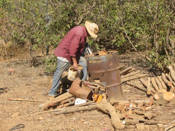 Tecnologia social propõe reciclagem e empodera agricultores