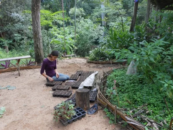 Instituto desenvolve ações de proteção e uso sustentável das florestas