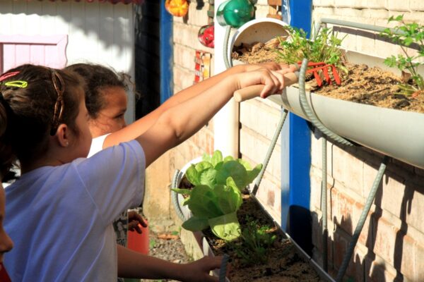 Horta nas escolas proporciona educação ambiental a estudantes